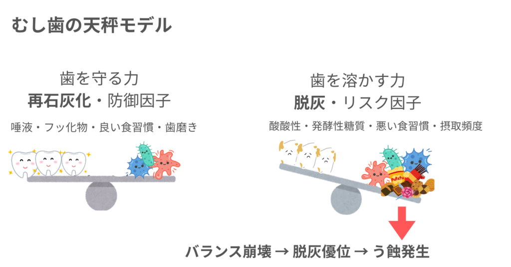 むし歯の天秤モデル｜再石灰化因子と脱灰因子のバランスが崩れるとむし歯が発生する仕組み