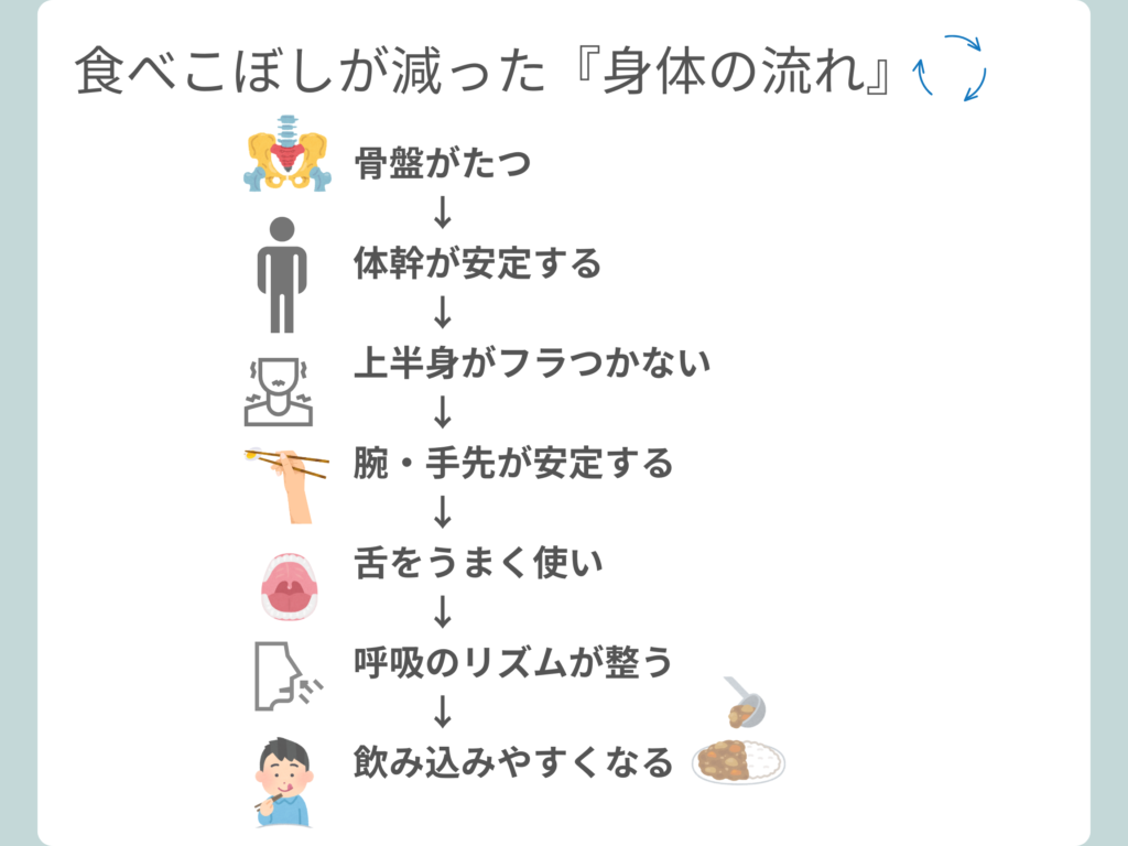 食べこぼしが減るまでの身体の流れを示した図解。骨盤が立つ→体幹が安定→手が安定→呼吸が整う→舌が使える→飲み込みやすくなる→食べこぼしが減る流れを説明している。